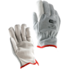 Photo des gants DR12 par NT-pro