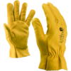 Photo des gants DR1H par NT pro