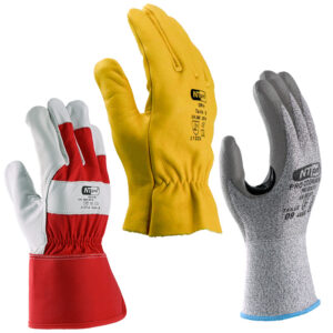 GANTS