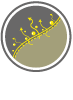 Pictogramme des caractéristique des vêtements techniques NT-Pro : respirant